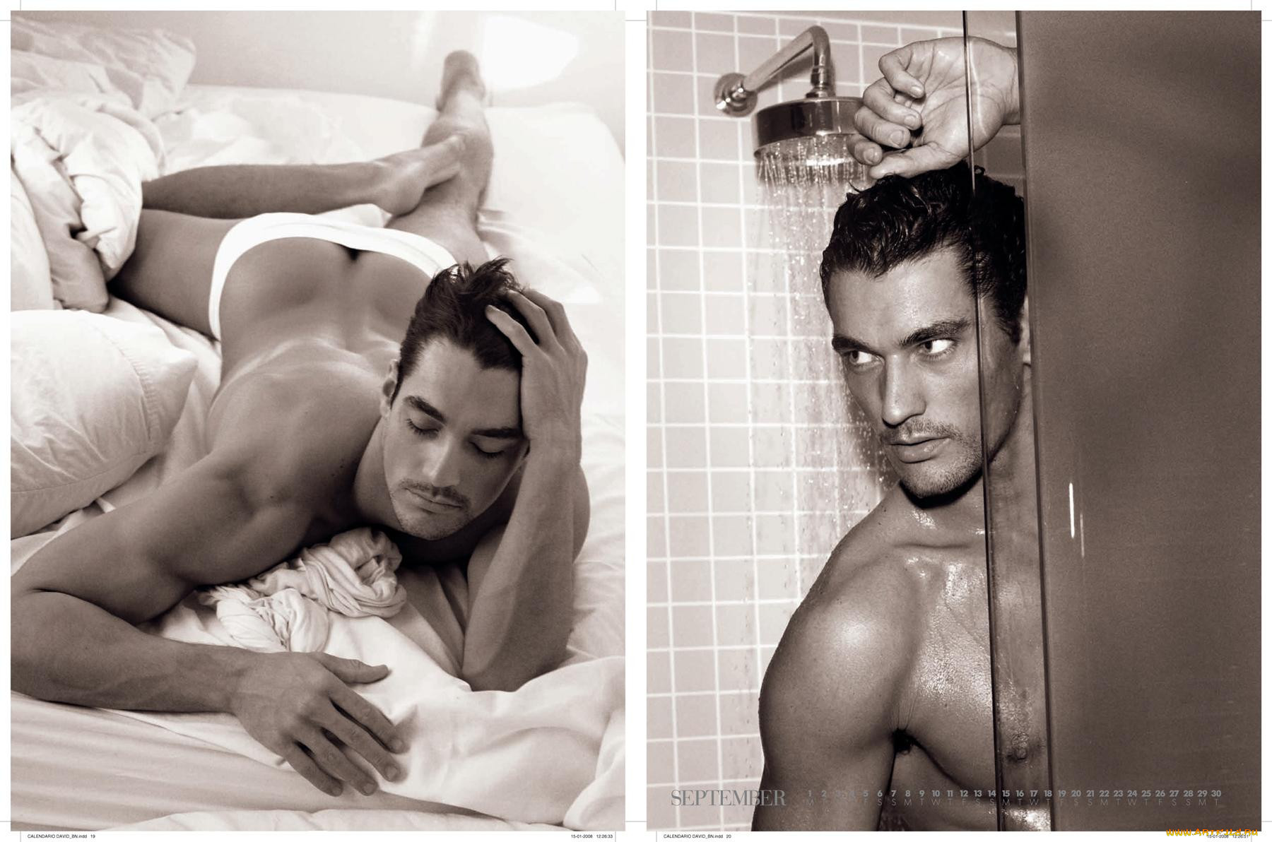 david, gandy, , 